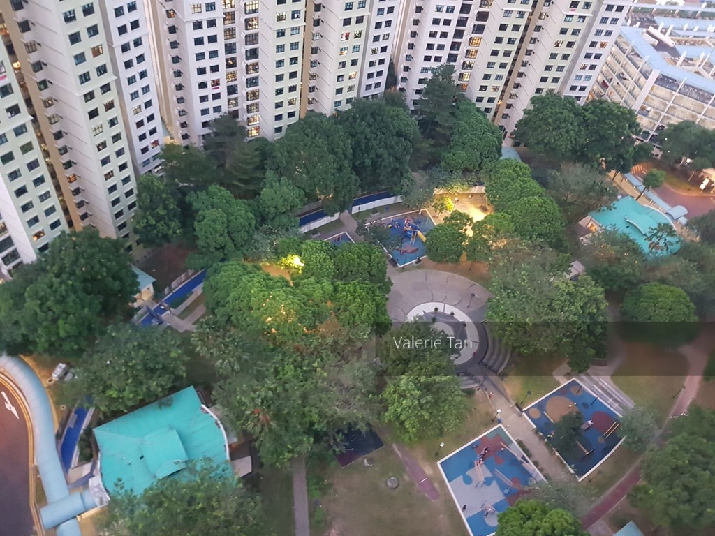 Senja Road thumbnail photo